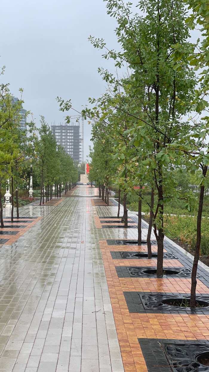 Приствольная решетка для дерева ZKING CRUST 1.2х1.2м Черная в Истре фото