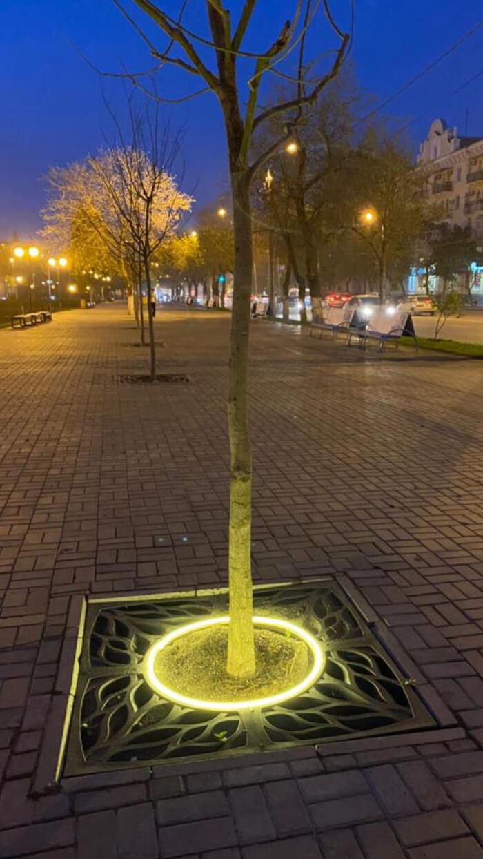 Приствольная решетка для дерева ZKING CRUST 1.2х1.2м Черная в Истре фото